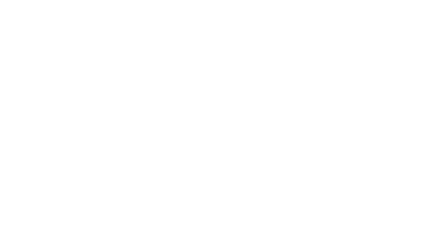 Nile Ventures